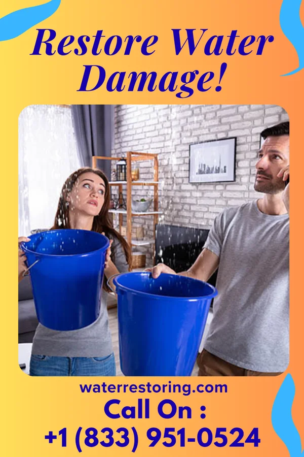 water restoration Premier Water Removal Pros Hillsboro