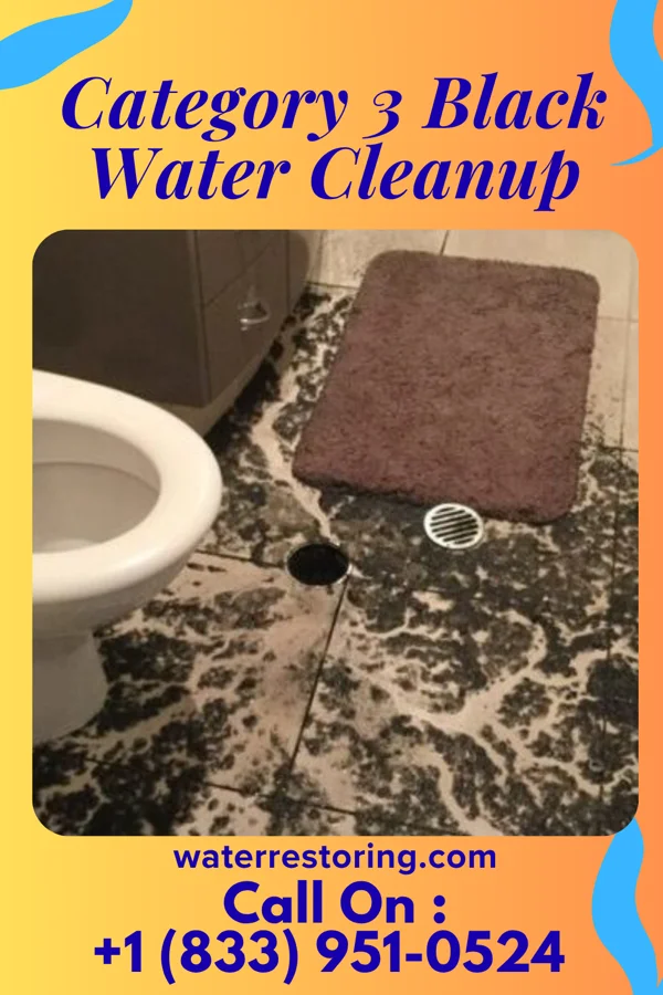 Category 3 Black Water Cleanup in Hillsboro, IN