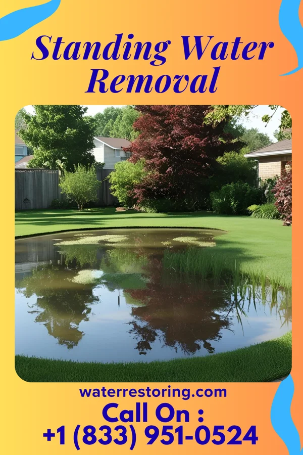 Standing Water Removal in Hillsboro, IN